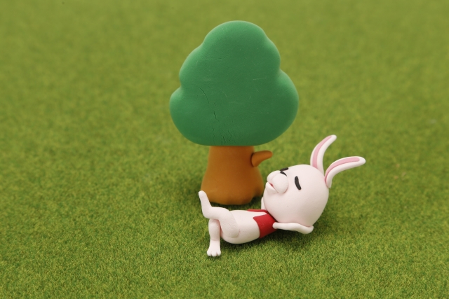 ネットで検索する猫